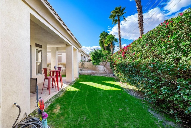 view of yard featuring a patio