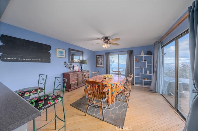 dining space with ceiling fan, plenty of natural light, and light hardwood / wood-style flooring