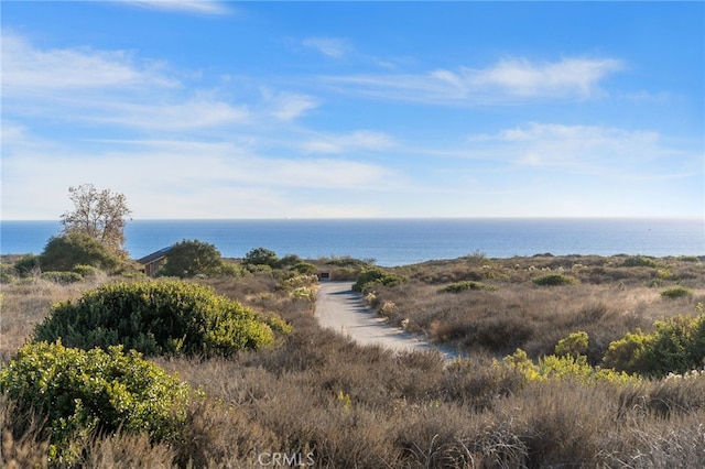 property view of water