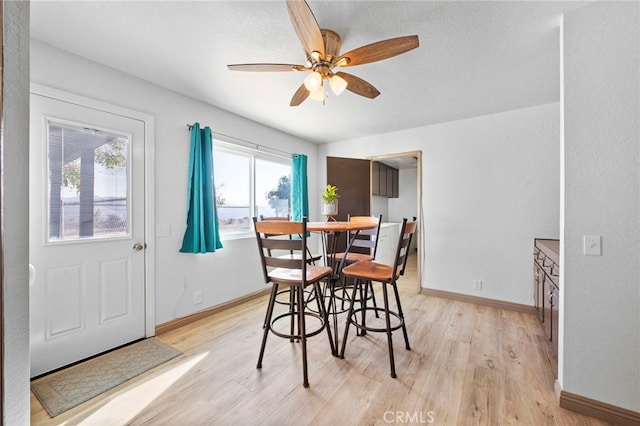 dining space featuring ceiling fan and light hardwood / wood-style flooring