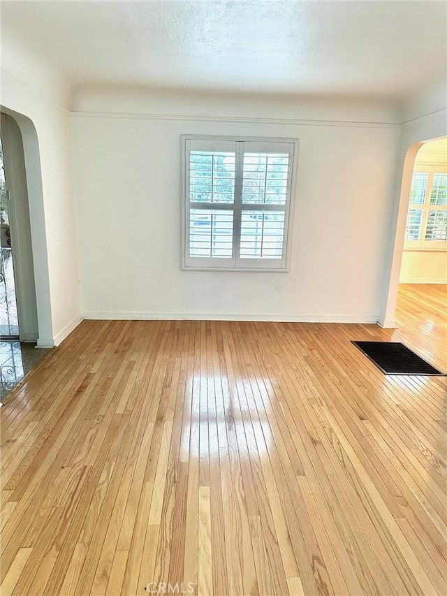 empty room featuring light hardwood / wood-style floors and a wealth of natural light