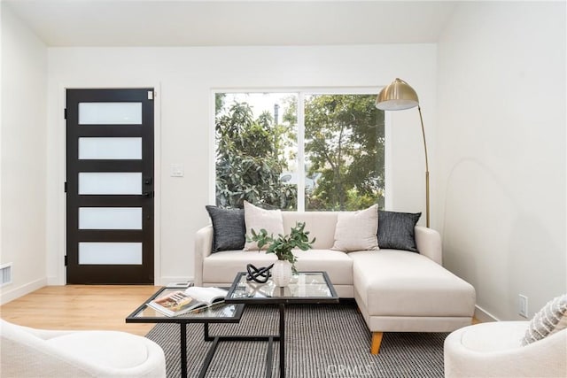 living room with hardwood / wood-style flooring and a healthy amount of sunlight