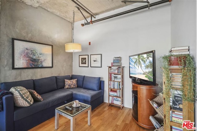 living room with a towering ceiling and light hardwood / wood-style floors