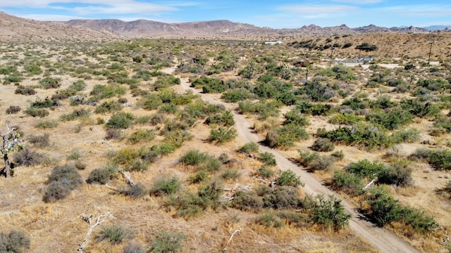 view of mountain feature