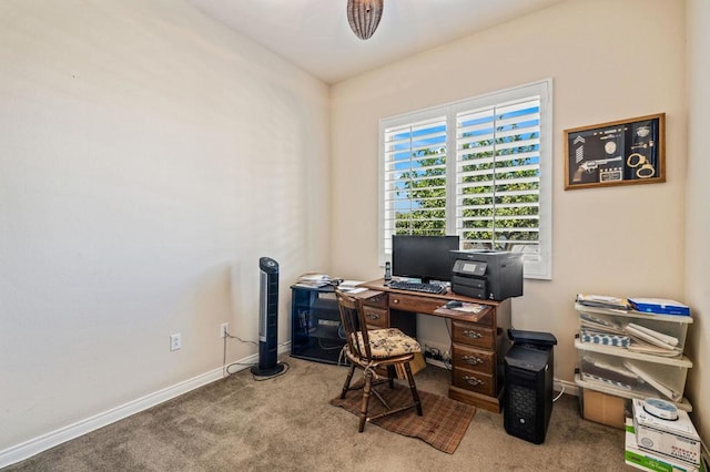 office space featuring carpet floors