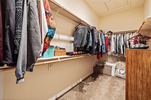 walk in closet featuring carpet