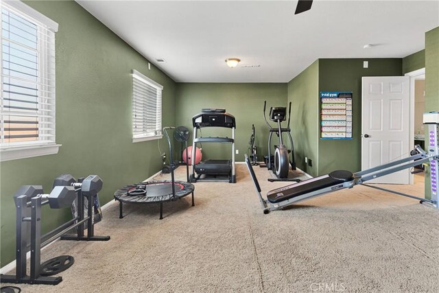 exercise room featuring carpet flooring