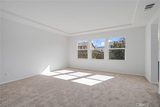 unfurnished room with light colored carpet