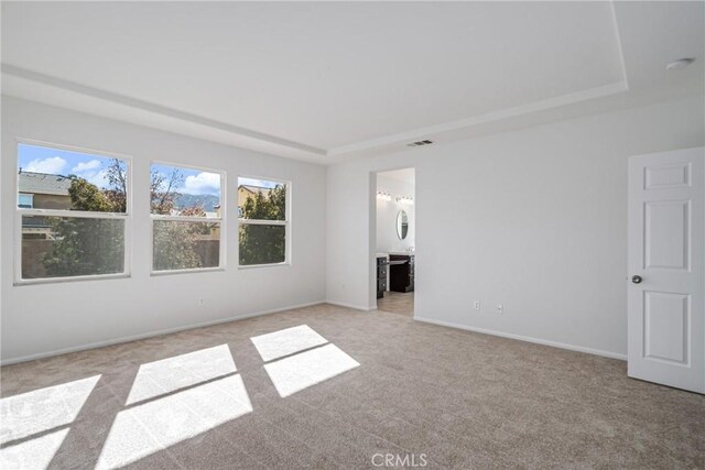 interior space featuring a tray ceiling, ensuite bath, and light carpet