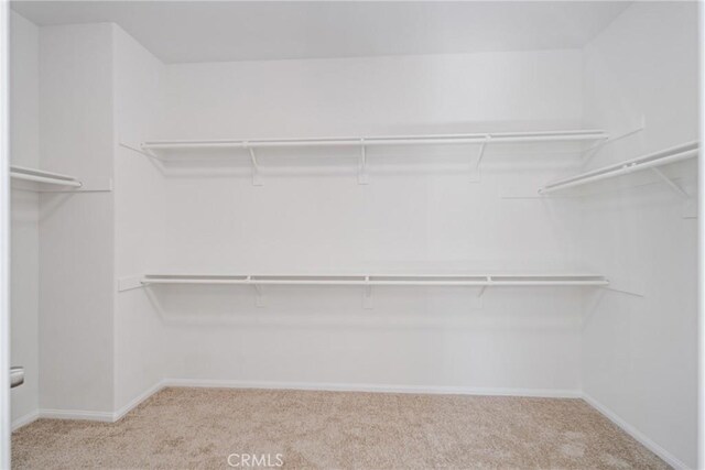 spacious closet featuring light colored carpet