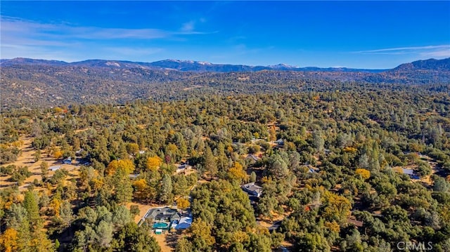 birds eye view of property with a mountain view