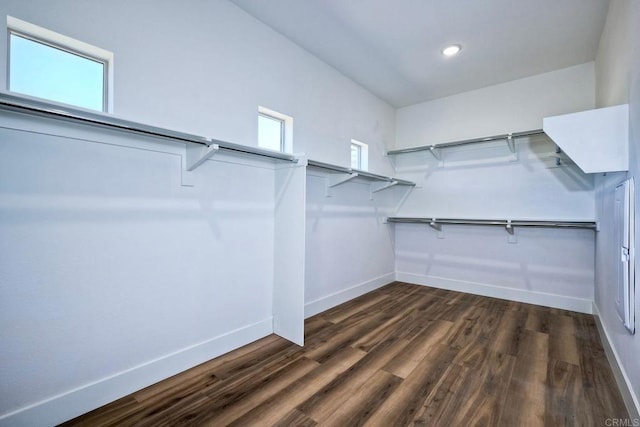 spacious closet featuring dark wood-type flooring