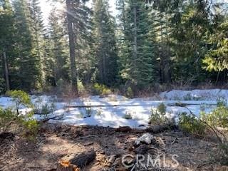 Listing photo 3 for 11041 Last Chance Mine Rd, Nevada City CA 95959