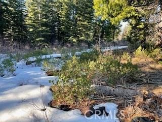 Listing photo 2 for 11041 Last Chance Mine Rd, Nevada City CA 95959