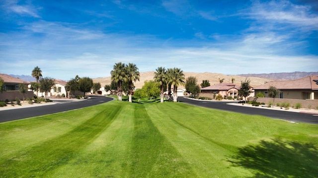 view of community featuring a lawn and a mountain view