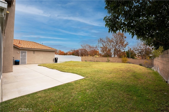 view of yard featuring a patio area