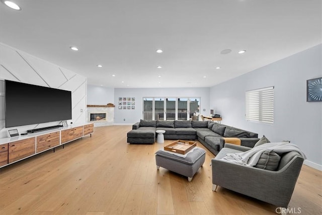 living room with a premium fireplace and light hardwood / wood-style flooring