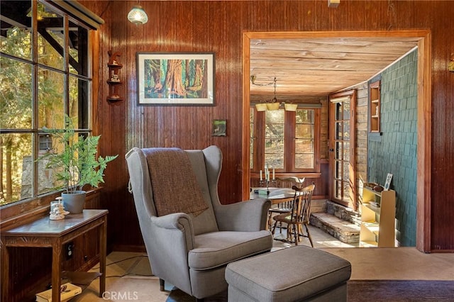 living area with wood ceiling, wooden walls, and a healthy amount of sunlight