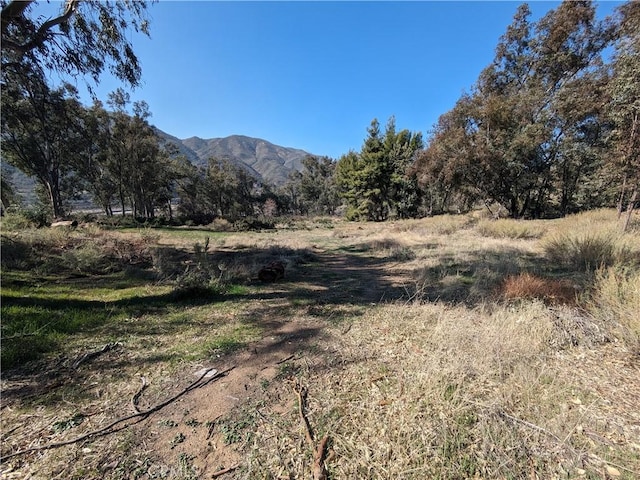 0 Cajon Blvd, San Bernardino, CA 92407 - photo 19