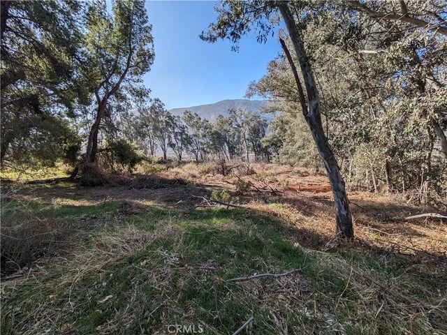 0 Cajon Blvd, San Bernardino, CA 92407 - photo 17