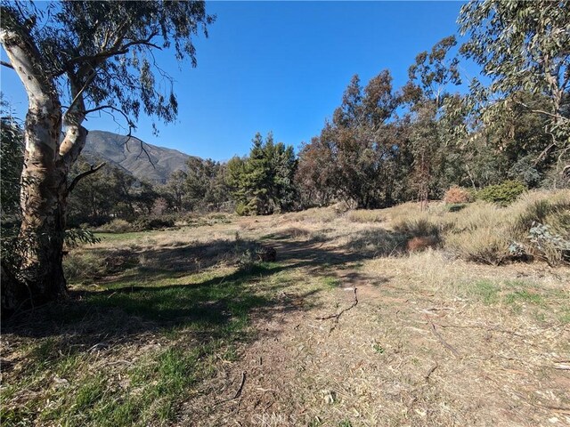 0 Cajon Blvd, San Bernardino, CA 92407 - photo 20