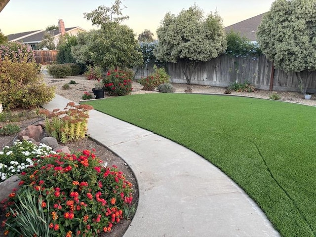 view of yard at dusk