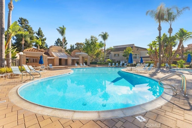 view of pool featuring a patio