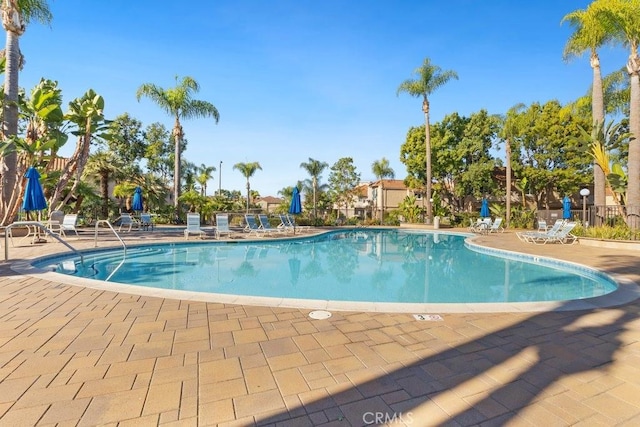 view of pool with a patio area