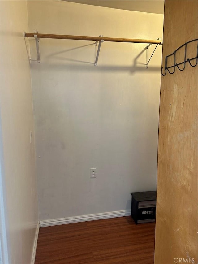 walk in closet with wood-type flooring