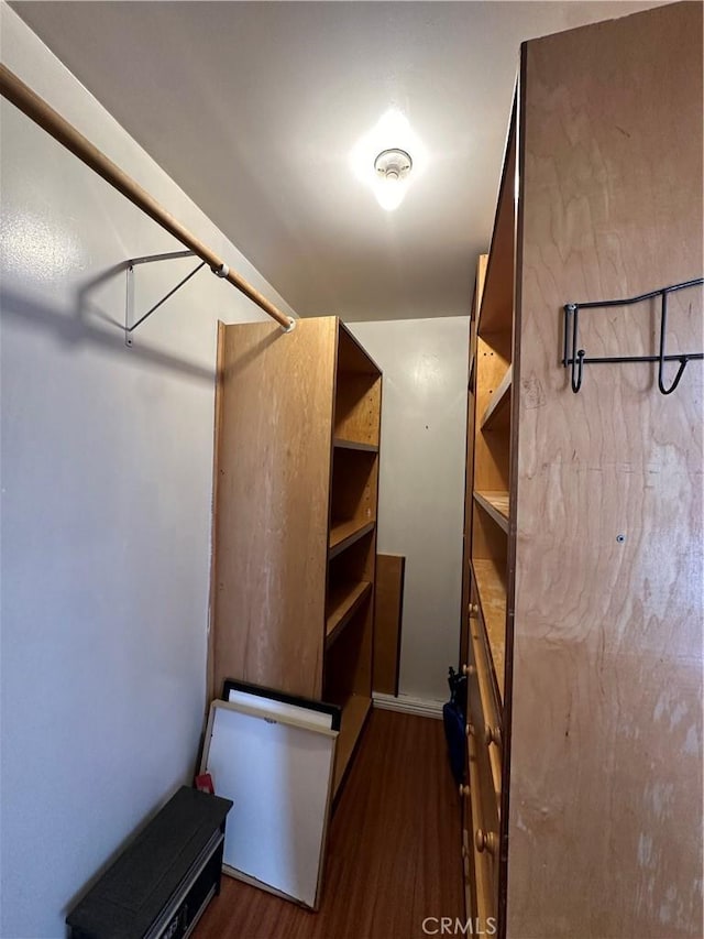 spacious closet featuring dark hardwood / wood-style floors