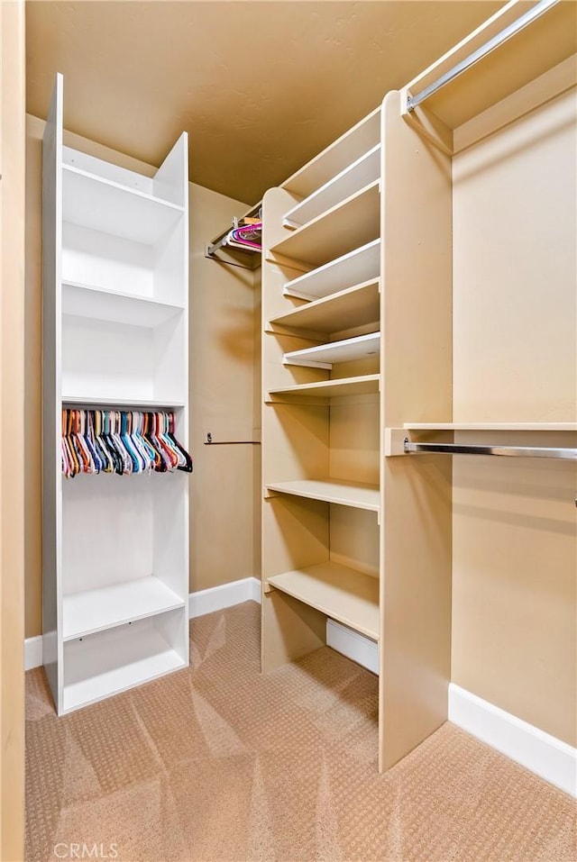 spacious closet with carpet floors