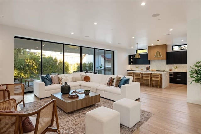 living room with light hardwood / wood-style flooring and plenty of natural light