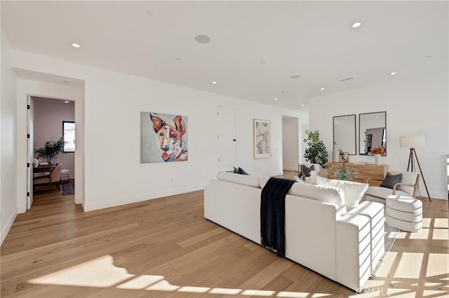 living room with light hardwood / wood-style floors