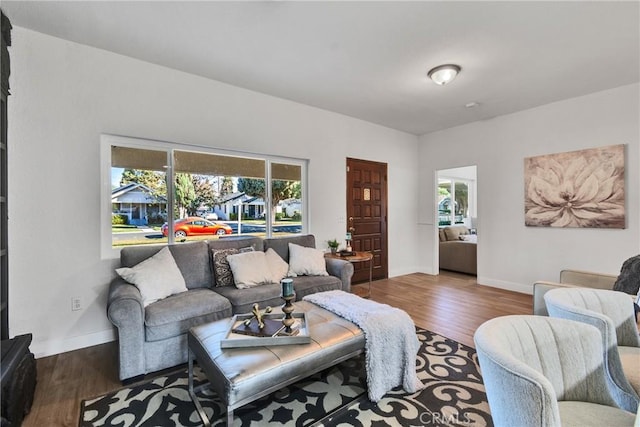 living room with hardwood / wood-style flooring