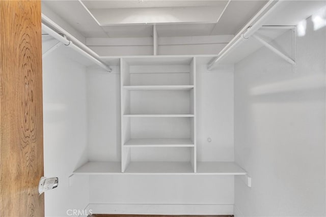 view of walk in closet