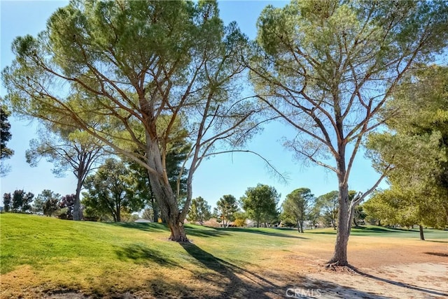 view of home's community with a lawn