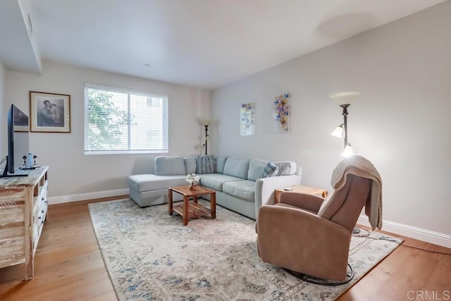 living room with light hardwood / wood-style floors