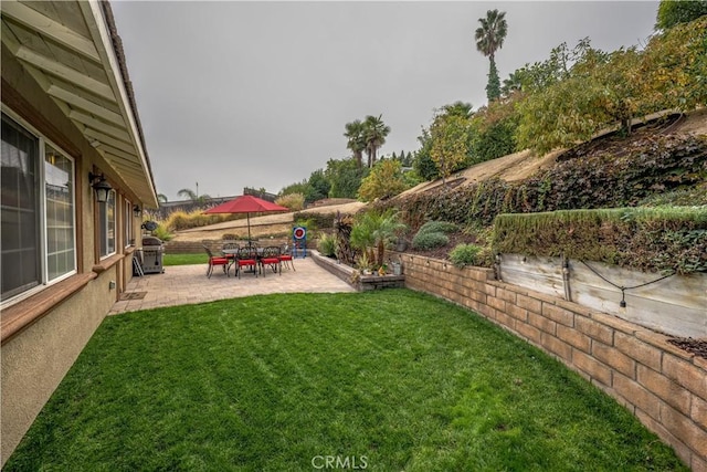 view of yard featuring a patio area