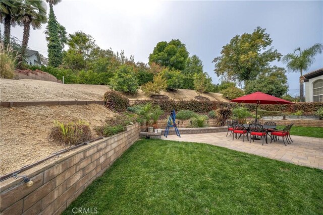 view of yard featuring a patio area