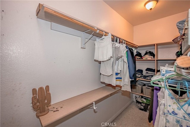 spacious closet with carpet flooring