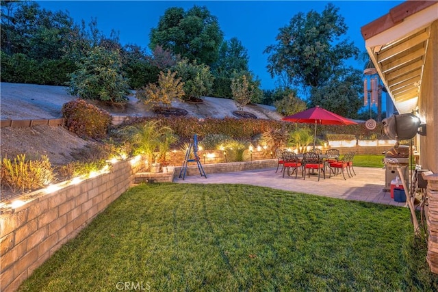 view of yard featuring a patio