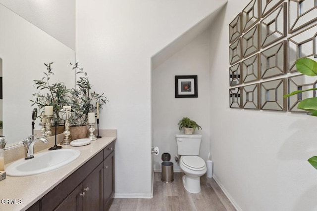 bathroom with vanity, hardwood / wood-style flooring, and toilet