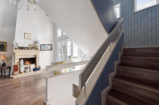 stairs with hardwood / wood-style flooring