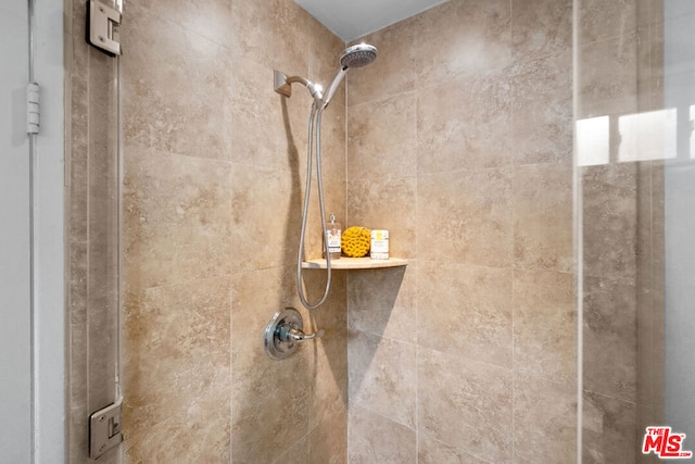 interior details featuring tiled shower