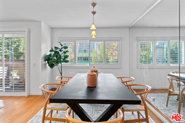 dining room featuring hardwood / wood-style floors