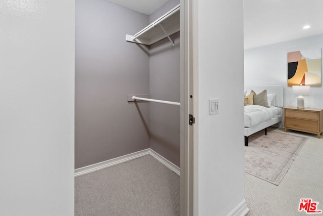 walk in closet with carpet flooring