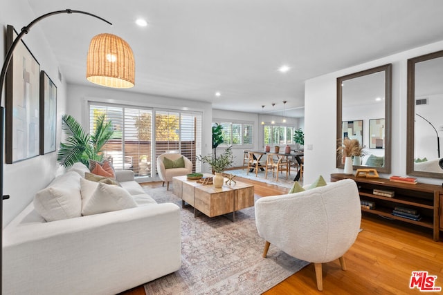 living room featuring wood-type flooring