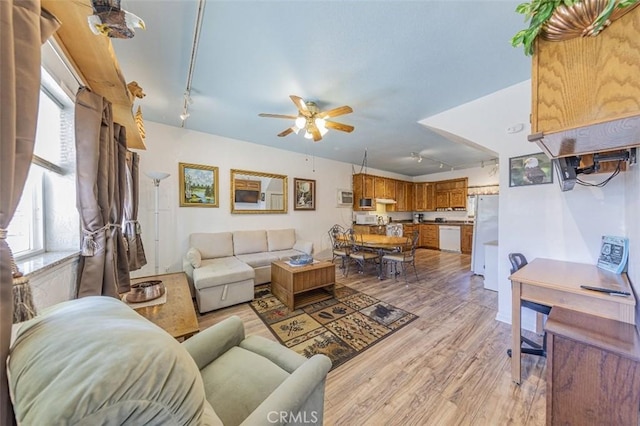 living room with plenty of natural light, ceiling fan, light wood-type flooring, and rail lighting