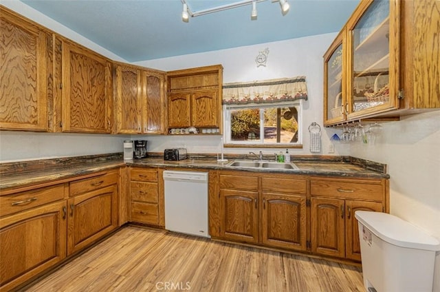 kitchen with rail lighting, dishwasher, sink, and light hardwood / wood-style flooring