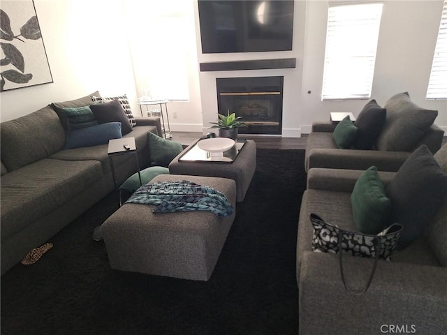 living room with wood-type flooring